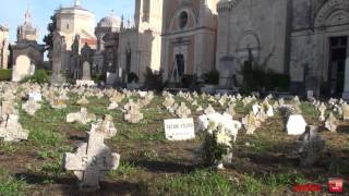 preview picture of video 'La Città Vicino - storie dal cimitero di Acireale'