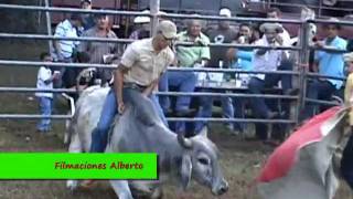 preview picture of video 'Toros en Cañacillas Filmaciones Alberto'