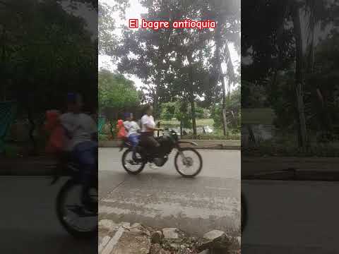 el bagre antioquia