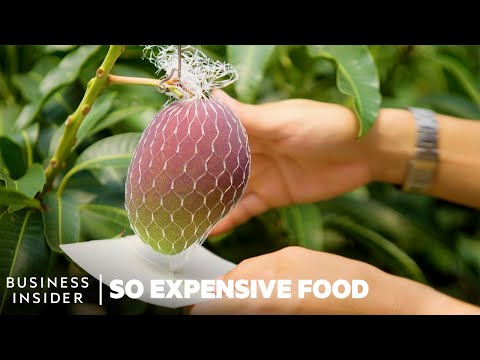 Why Miyazaki Mangoes Are So Expensive | So Expensive Food | Business Insider