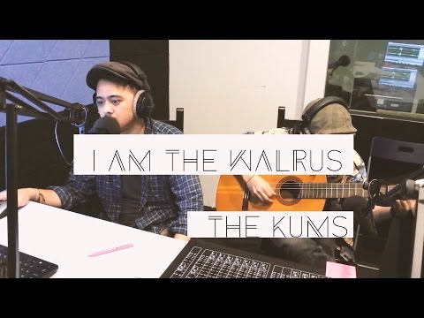 i am the walrus - the beatles (cover)