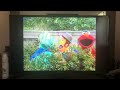 Closing To Sesame Street Elmocize 2002 DVD ️ ️ ‍ ️ ‍ ️ ‍ ️ ‍ ️ ‍ ️ ‍ ️ �