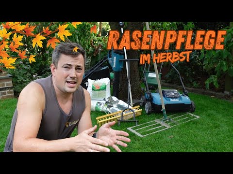 Rasenpflege im Herbst | so kann der Winter kommen!