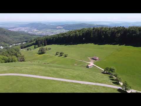 #Allerheiligen Berg #hägendorf