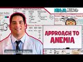 CBC Approach To Anemia
