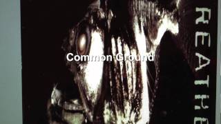 Midnight Oil - Common Ground