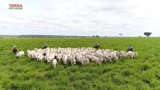 Miniatura do vídeo