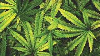 Chris Webby - Sativa (B-Real, Demrick &amp; Zacari)