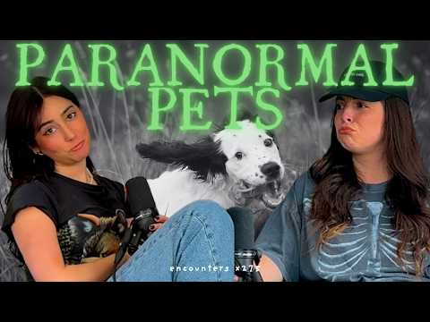 x275. Paranormal Stories | Pets, Rainbow Bridge & Ghostly Protectors | Stories From Listeners