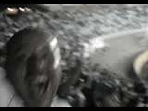 Gol do edmundo goiás 2x4 vasco