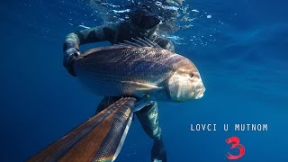 Spearfishing Croatia 2016 Spearfishing Croatia 2016