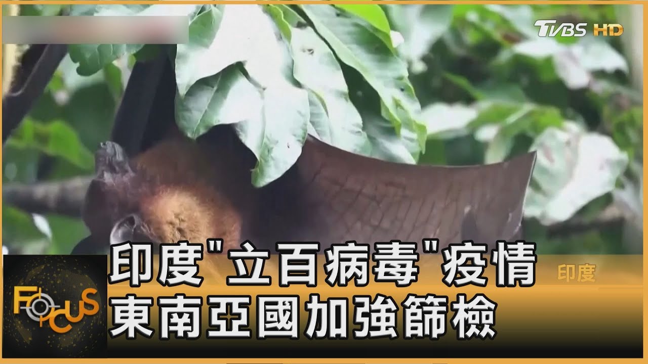 印度「立百病毒」疫情 東南亞國加強篩檢