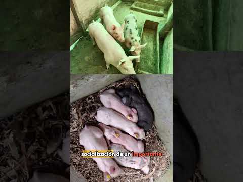 Empoderamiento de la mujer rural.