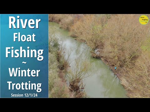 Winter Float Fishing On The Avon With Bread - Trotting The Stick Float - 12/1/24 (Video 462)