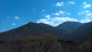 Tribute to Kenny Price