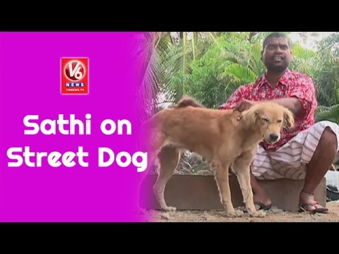 Bithiri Sathi On Street Dog Attacks In Hyderabad | Funny Conversation With Savitri | Teenmaar News