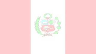 Sarita Colonia: Escuela de Combistas