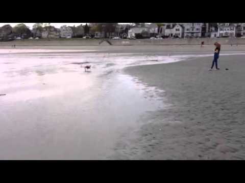 Swampscott Beach 5/10/14