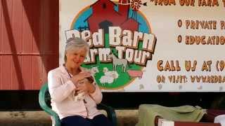 Parklane Academy Principal Speaks with Snow Creek Jack Rusell