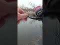 Фото Зимняя рыбалка на спиннинг #fishing #рыбалка