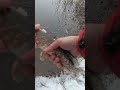 Фото Зимняя рыбалка на спиннинг #fishing #рыбалка