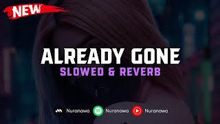 Download lagu DJ Already Gone ( Slowed & Reverb ) 🎧 mp3