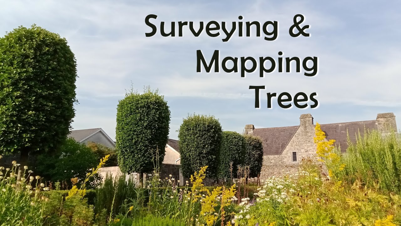 Surveying and Mapping Trees