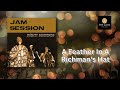 A Feather In A Richman S Hat Mighty Diamonds