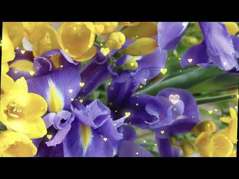 GIOFA BELLA remix 2020 by BYZZ OTS