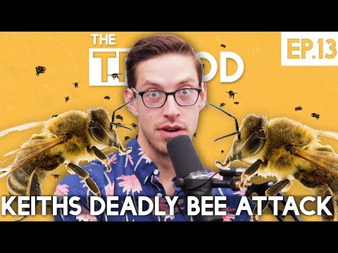 Keith's Deadly Bee Attack - The TryPod Ep. 13