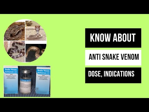 How to use Anti Snake Venom || Dose || Indications