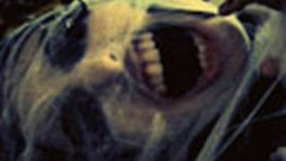 Katatonia &quot;Day And Then The Shade&quot; HD