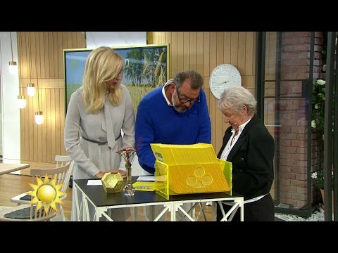 Här skrapar Birgitta triss - och Steffo står för trumvirvel - Nyhetsmorgon (TV4)