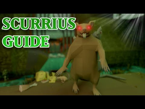 Scurrius Guide | OSRS | Noob Friendly