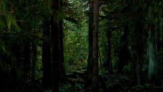 New Moon - Edward leaves - Alexandre Desplat ( from New Moon score)