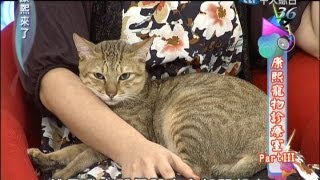 Re: [新聞] 農業部開戰！指「寵物溝通師」無科學根