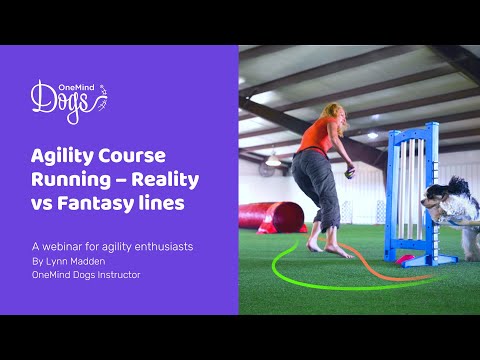 A FREE webinar for agility enthusiasts looking to understand their dog’s lines on an agility course.