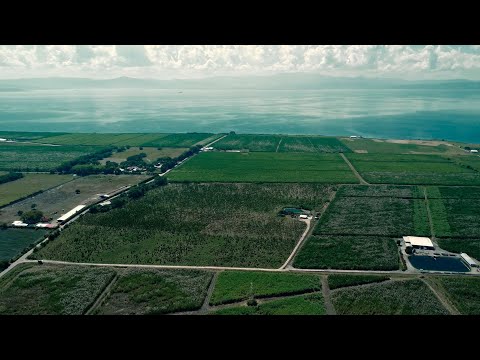 RUTA TURISMO AGRICOLA, San Joaquín Estado Carabobo  #turismo