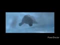 Ice Age Continental Drift Manny Underwater Scene