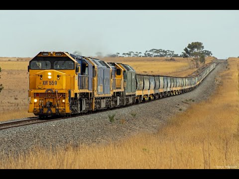 Trains in Victoria: 7732V Wingeel