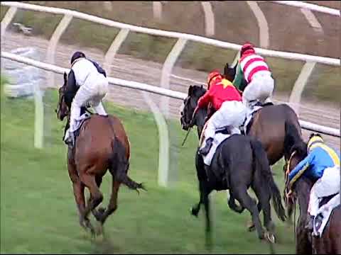 Napoli Galoppo 10/12/2022 - 5ª corsa