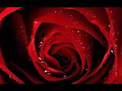 Dj Isa Club Production