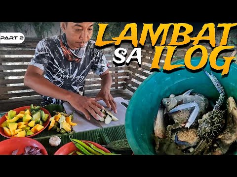 P2-PANLALAMBAT SA ILOG - EP1252