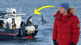 Travel vlog - I paid for a 'Whale Watching Tour' in Norway...