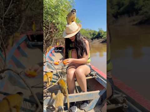 flora y fauna del departamento de Beni Bolivia #bolivia