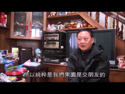 無毒陽光果園 種出安心草莓番茄園