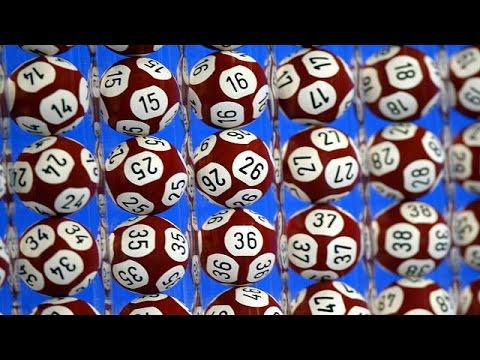 Euromillions win lights up Irish bus drivers eyes