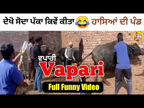 Vapari (ਸਭ ਤੋਂ ਅਨੋਖੀ ਮੱਝ) Punjabi short video Video