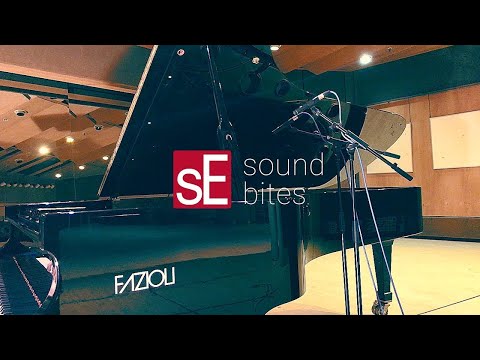 Immagine sE Electronics sE8, Small-diaphragm condenser microphone with 80/160 high-pass filter and 10 and 20 dB switchable pad - 3