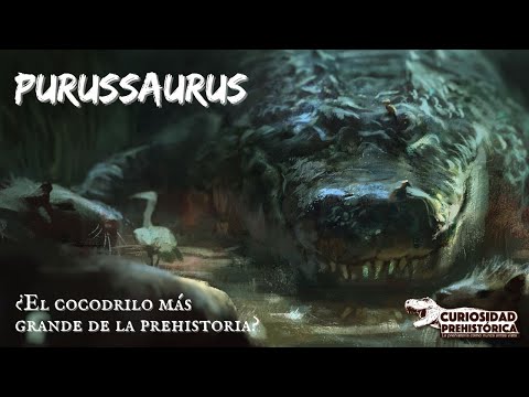 The largest crocodile in prehistory? - Purussaurus